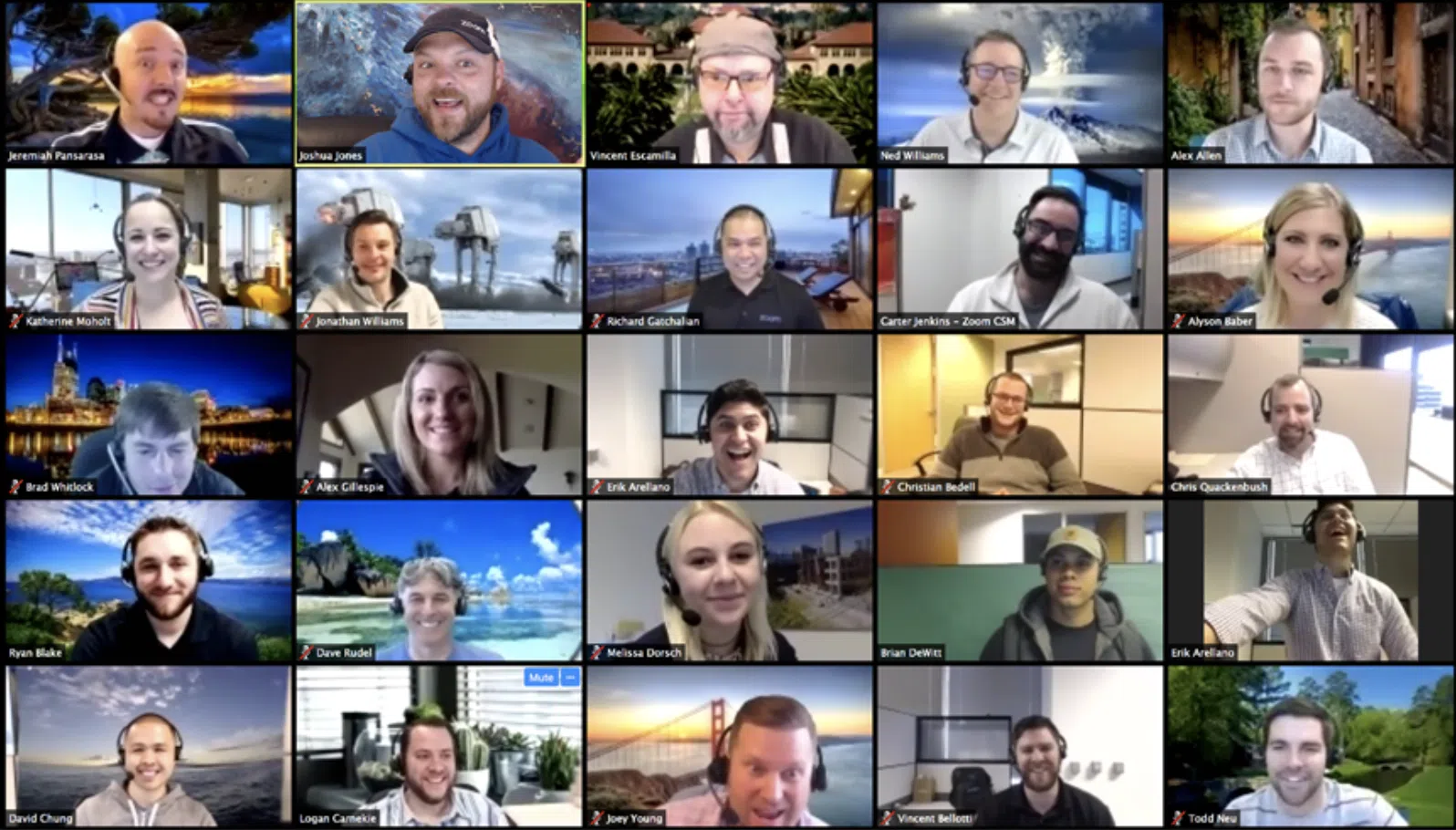 Next Level Selling’s Membership Program VC Call